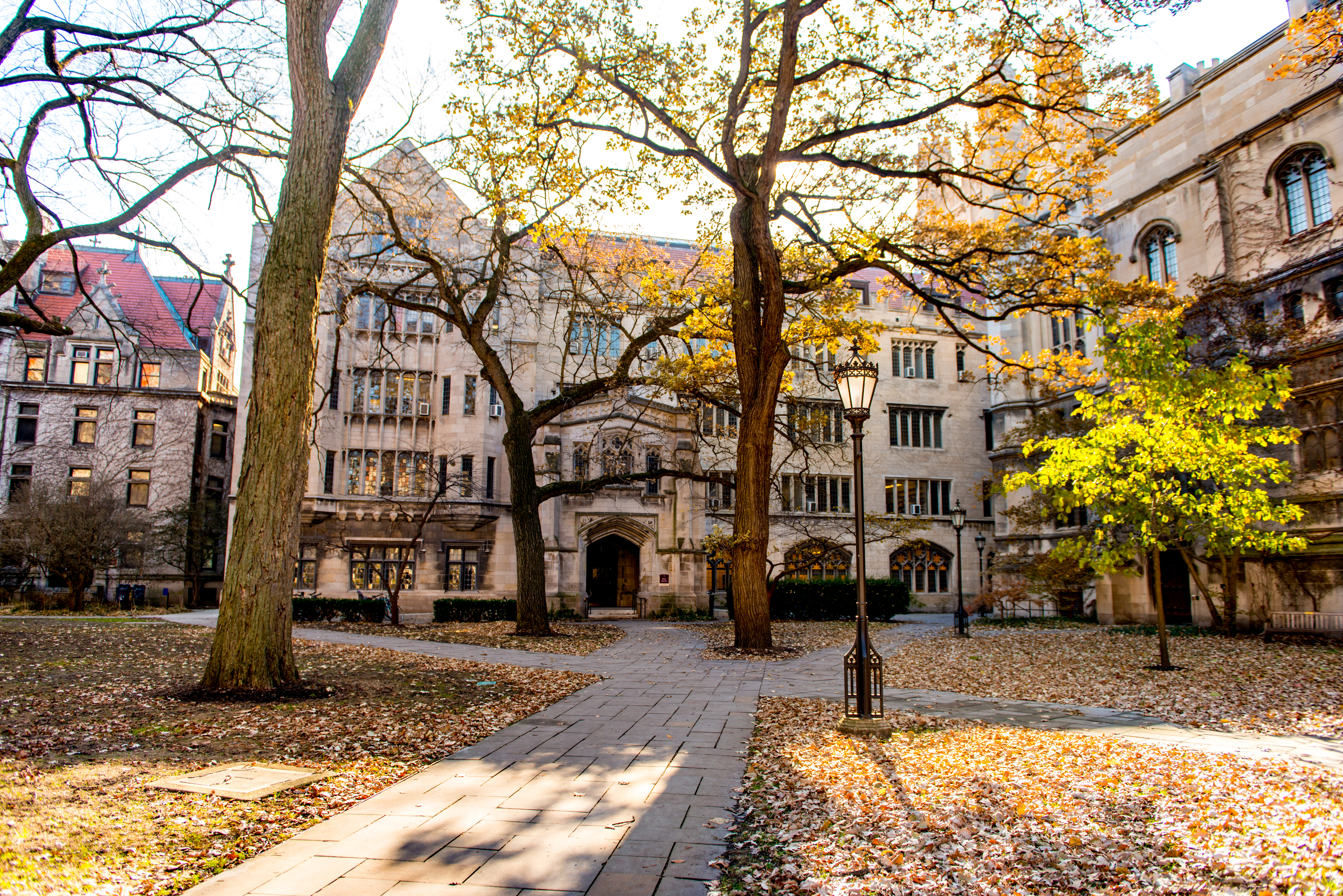Photo of UChicago campus in the fall